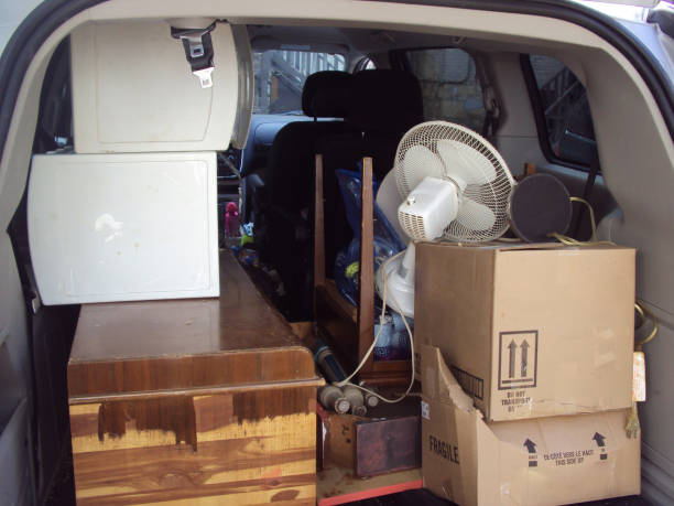 Best Hoarding Cleanup  in Lake Elmo, MN